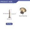 uxcell 70Pcs Small Tiny Nails 1.5x12mm(DxL) Tiny Brass Nails Hardware