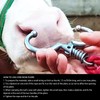 Farm Animal Cattle Ring Stainless Steel Automatic Cow Spring Nose