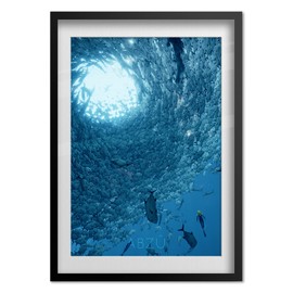 Abzu (ABZÛ) Game Poster | In Game Art | Unframed Version (16x24)