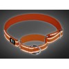 Serijoars Martingale Heavy Duty Nylon Dog Collar, Soft Neoprene Padded