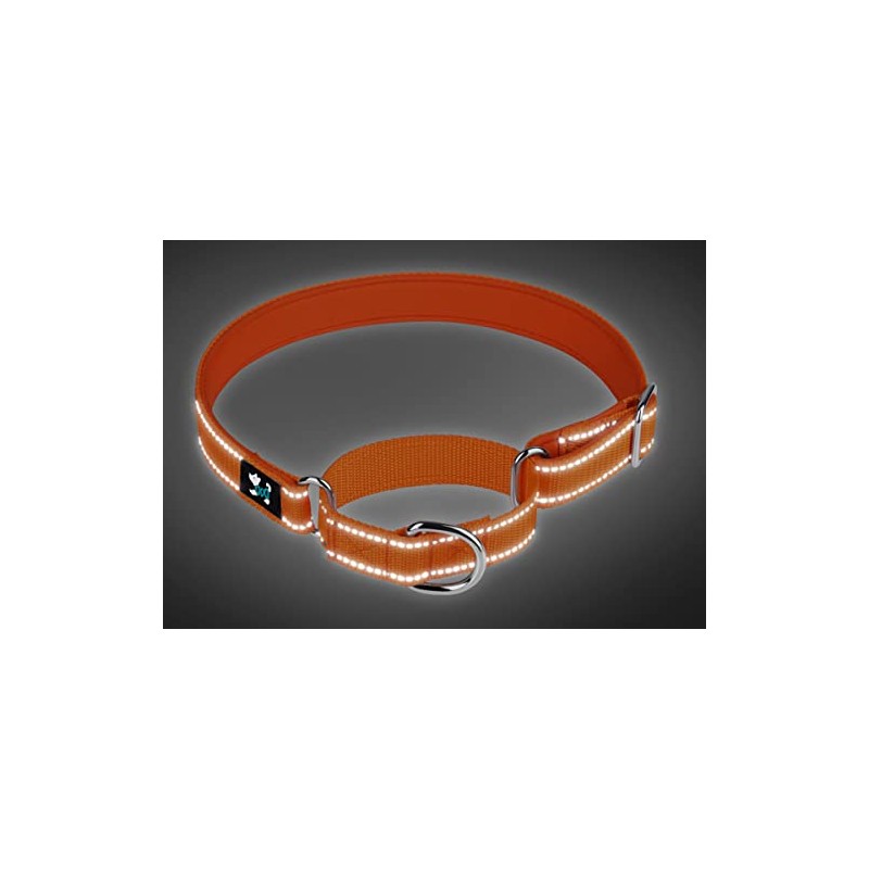 Serijoars Martingale Heavy Duty Nylon Dog Collar, Soft Neoprene Padded