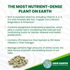 Moringa Capsules - Pure Moringa Oleifera Leaf Powder -1500mg per