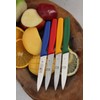 ICEL 4 Inch Paring Knife - Straight Edge, High Carbon