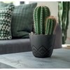 Tymar Flower Pot - Stylish Planter with Modern Pattern, Pack