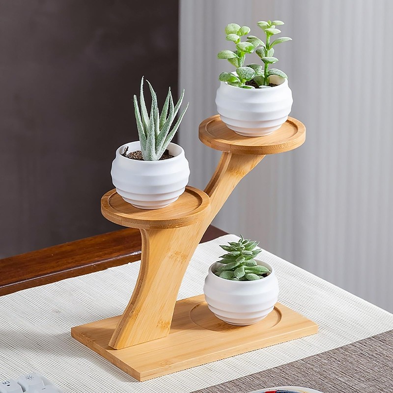 AKONE Cactus Planter Succulent Pot Bamboo Tray