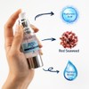 Celenes by Sweden Thermal Energizing Detox Serum 3-in-1 - Hyaluronic