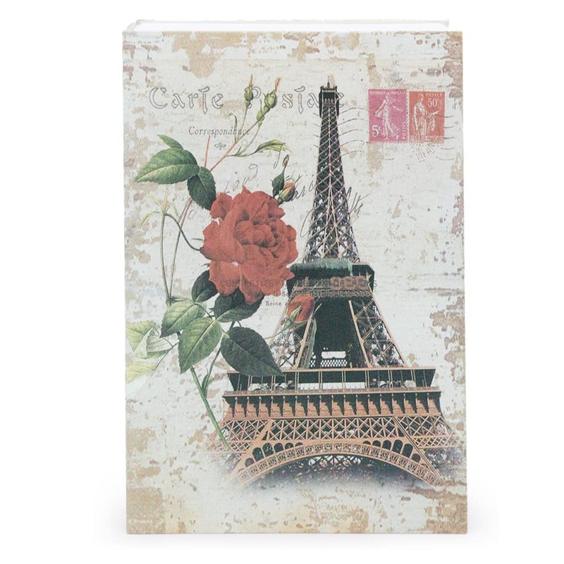 Diversion Book Safe Storage Box, Dictionary Secret Safe Can with