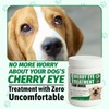 Cherry Eye Treatment for Dogs, Terra-CIN for Conjunctivitis, Reduces Redness