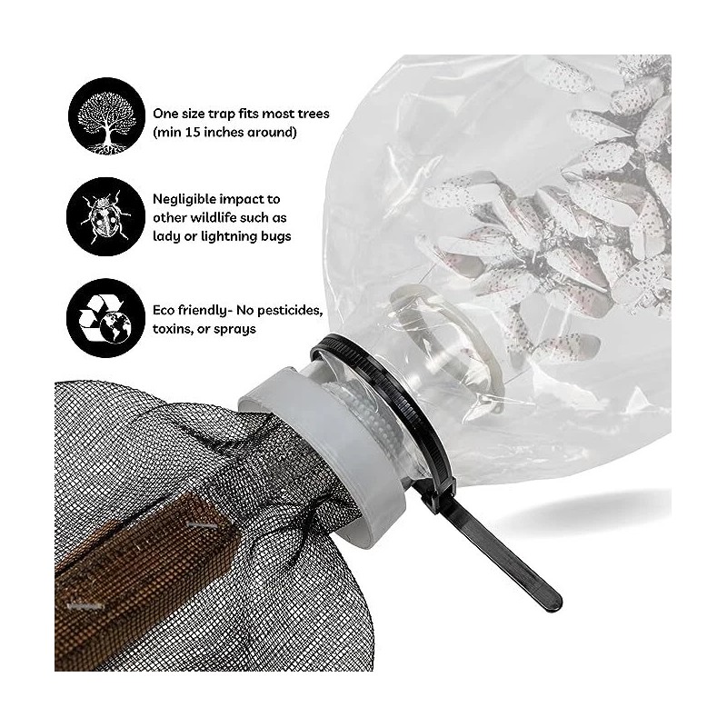 Lanternfly Trap Co Spotted Lanternfly Trap