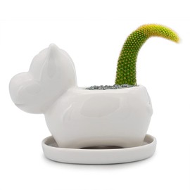 GeLive White Hippo Planter Mini Ceramic Succulent Plant Pot with Tray Saucer Decorative Flower Vase Fun Animal Decor (White)