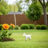 FUNOMOCYA 6Pcs Mini Goat Figurines Realistic Goat Statues for Home