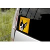 Staring Boston Terrier Dog Sticker Orange Back MK-2
