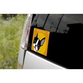 Staring Boston Terrier Dog Sticker Orange Back MK-2