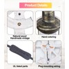 BARSUNS Boat Rudder Nautical Wall Sconce Plug in or Hardwire,