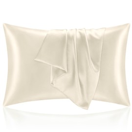 BEDELITE Satin Pillowcase for Hair and Skin, Super Soft and Cooling Similar to Silk Pillow Cases 2 Pack with Envelope Closure, Gift for Women Men(20"x26" Standard Size, Beige)