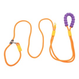 CAPASTEC Freihändige Hundeleine, verstellbare Crossbody-Taillenleine Multifunktion, 2,5 m 8,2 ft Laufleine, Griff aus Schaumstoff für kleine, mittlere und große Hunde, Orange Lila