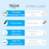 Tegan Lash 500 Extensiones De Pestañas Promade Fans Volume, Pestañas