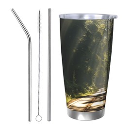 POWCAN Botella de agua aislada de 40 oz con pajita y tapa de 2 en 1, mantiene el frío durante 24H, a prueba de fugas, sin BPA, botella de agua de acer