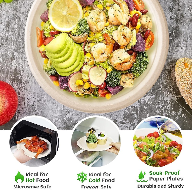 Disposable Paper Plates 9 Inch Compostable Plates 50 Pack Biodegradable