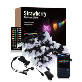 HIITEN RGB C9 Christmas Lights Outdoor 59ft 75LEDs, DIY Chasing Effects Smart Christmas Lights, Bluetooth APP Remote Controlled Extendable Color Changing String Lights with Timer & Music Sync