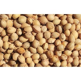 Cherry Stone Cushion 12 x 12 cm Red/White - Heat Cushion & Cold Cushion - Grain Cushion with Cherry Stones