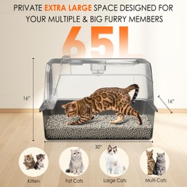 Bienvoun Stainless Steel Cat Litter Box with Lid, Front Entry Top Exit Metal Litter Box XL with Cover, Extra Enclosed Litter Boxes with Litter Scoop & Litter Mat, Non-Sticky, Non-Odor, Dark Grey