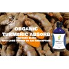 Organic Herbal Remedies 100 ml Turmeric Tincture
