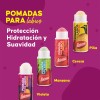 Jaloma Pomada Para Labios, Vitrolero Con 60 Piezas