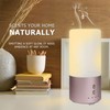 IceLabs Essential Oils Aluminum Alloy Ultrasonic Aromatherapy Aroma Diffuser with