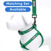 Pawtitas Dog Collar For Extra Small Dogs Training Puppy Collar