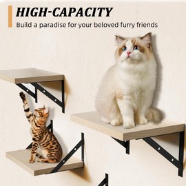 Habudda Floating Shelves for Wall, Natural Wood Hanging Shelf, Wall Mounted Shelves for Bathroom Kitchen Living Room, 16 inches, 2 Set