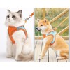 Dogs Kingdom Soft No Pull Dog Harness - Adjustable Pet