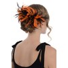 Zac's Alter Ego Two Tone Burlesque Colourful Feather Fascinator On