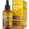WILDFIELD HERBS 2 Oz Dandelion Root Extract Drops 2000mg (Taraxacum