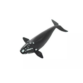 Collectible Wildlife Gifts Right Whale, Animal, Realistic Toy , Kids, Hand Painted, Gift, 3" CH426 BB109