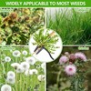 Weed Puller Tool, Stand-Up Weeding Tool with Long Handle,4-Claw Steel