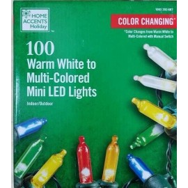 Home Accents Holiday 100 Color-Changing LED Warm White Multi color Lights Mini Christmas