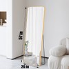 SCWF-GZ 57x20 Door Hanging Full Length Mirror, Floor Stand (Height