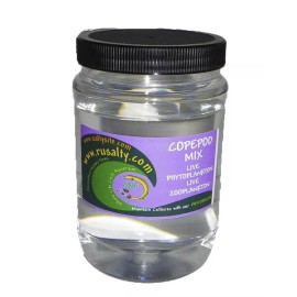 2000 Amphipods + Copepods 32oz  (8000 Pods) Tisbe + 4 other types Live Fish Food