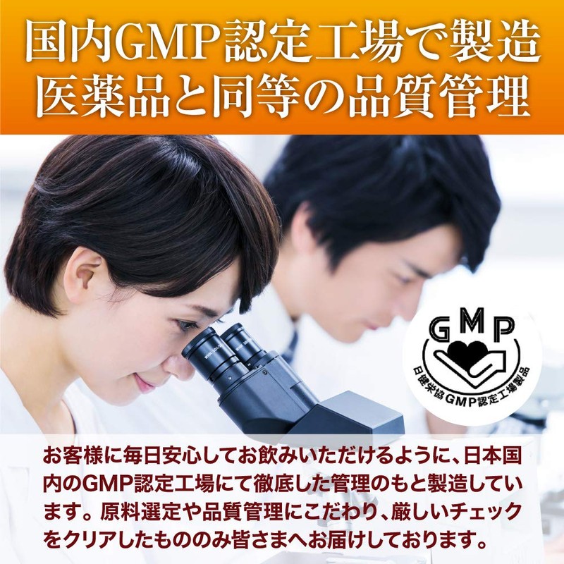 燃焼革命 ブラックジンジャー サプリメント サプリ カプサイシン L-カルニチン 厳選11種 30日分