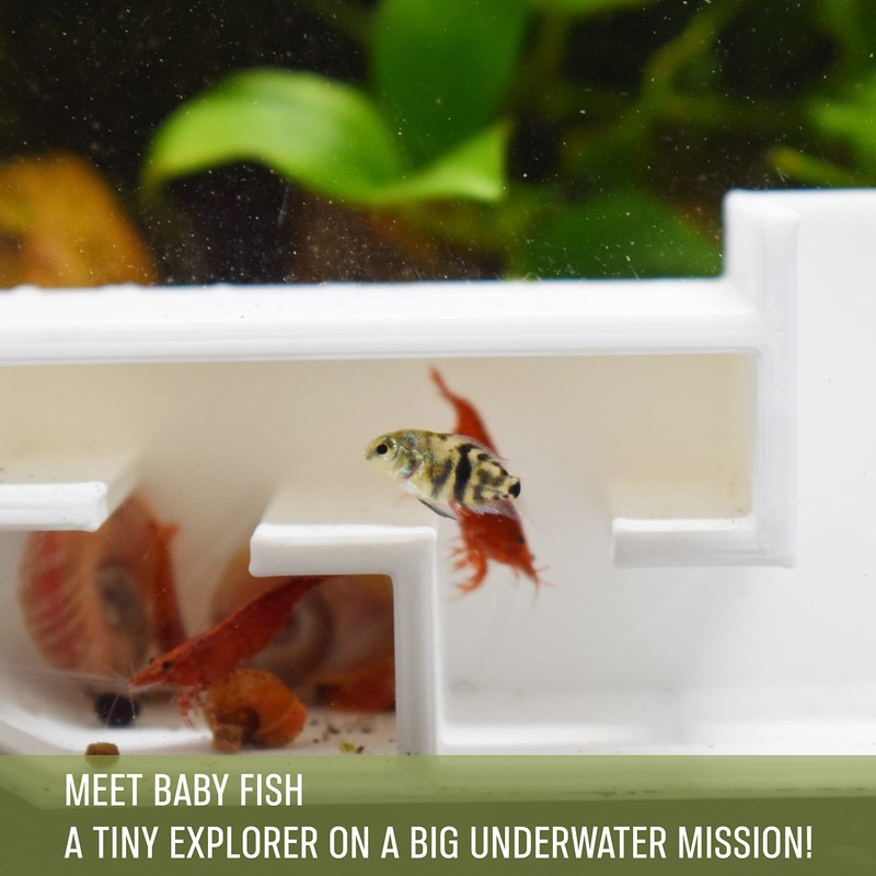 3DAquaticSolutions Aquarium Shrimp Party Tunnel, Includes Exquisite VIP Room and