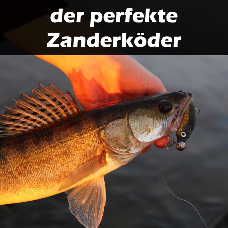 Paradox Fishing Set of 5 Penguin Zander Rubber Fish 13