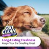 OxiClean 57214OC Pet Stain Plus, Stain and Odor Remover with
