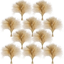 CKBT 450 PCS Exquisite Natural Pampas Grass Decor - Versatile Reed Grasses for Home & Event Decoration, Pompous Fluffy Tall Dried Reed Grass - Perfect for Vases, Wreaths & Table Centerpieces