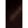 Bigen Powder Hair Color #46 Light Chestnut 0.21oz (3 Pack)