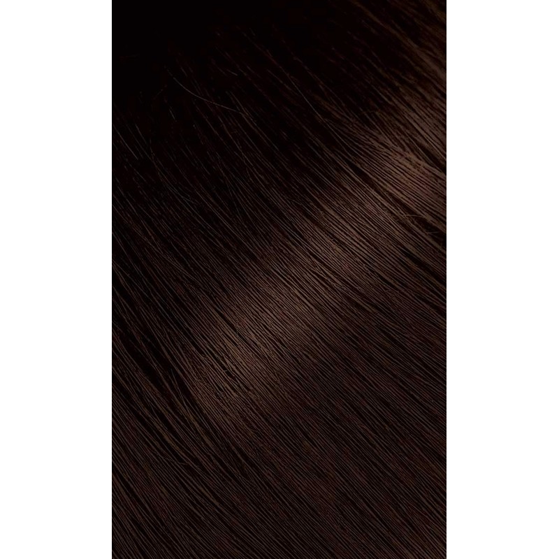 Bigen Powder Hair Color #46 Light Chestnut 0.21oz (3 Pack)