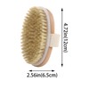2 Pack Body Brushes,Exfoliating Magic,Blood Circulation Boosting Brush,Helps Reduce Cellulite