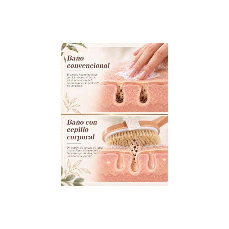 Cepillo Corporal Exfoliante de Madera con Cerdas Naturales，Cepillo Exfoliante Corporal，Cepillo