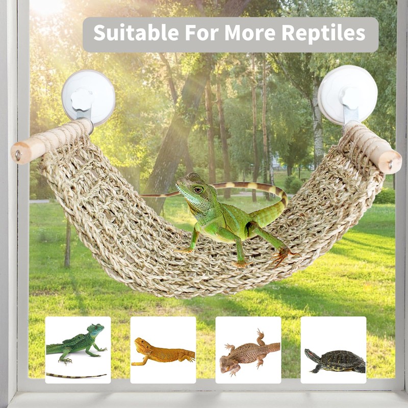 FlidRunest 21.6 x 7.8 in Seagrass Bearded Dragon Hammock for