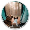 Vinyl Stickers (Set of 2) 25cm - Dogs Camping Tent